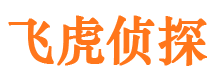 沙河口市场调查